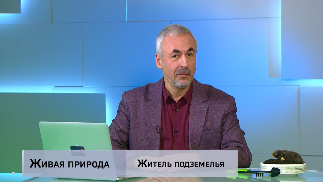 "Житель подземелья". Эфир от 15.02.2025