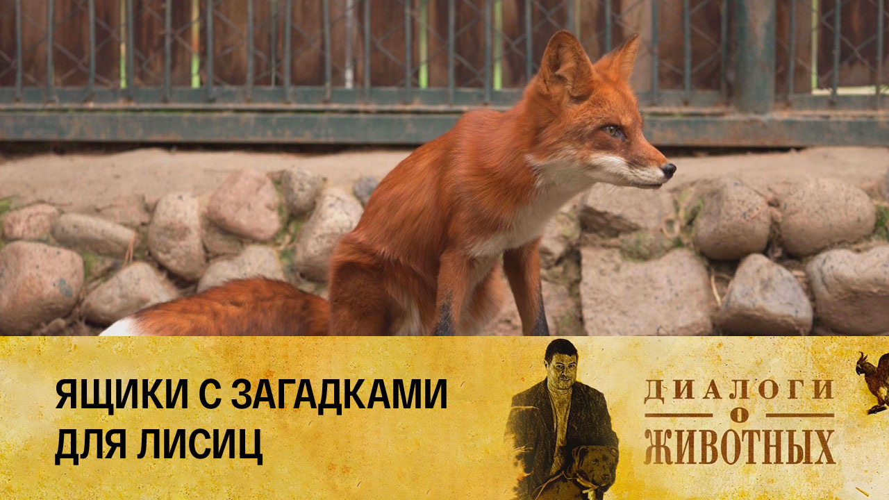 Алматинский зоопарк