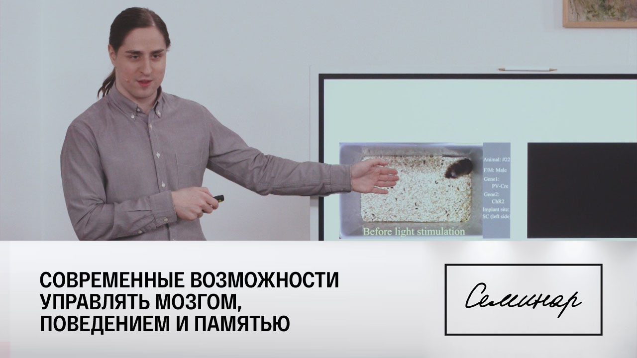 Владимир Алипов