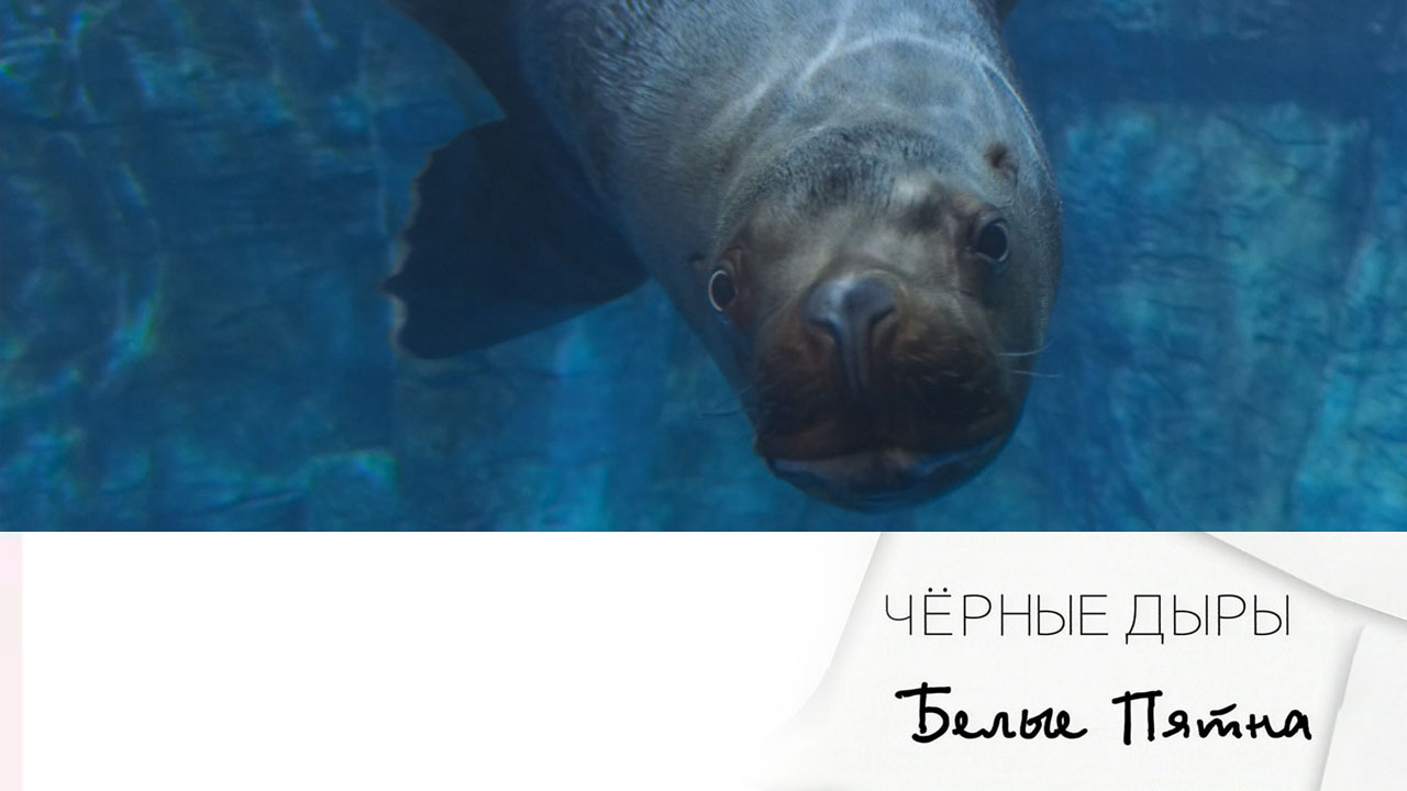 Эфир 01.03.2025