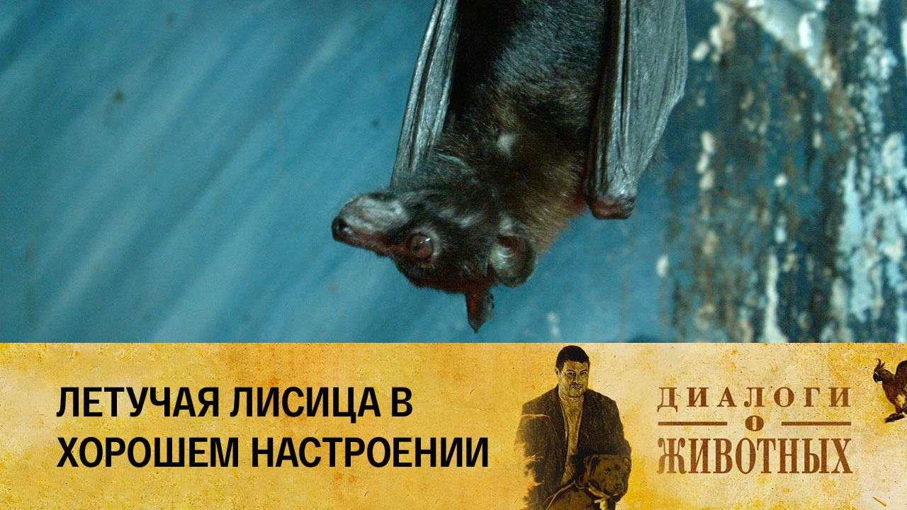 Алматинский зоопарк