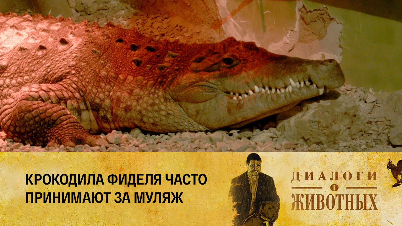 Алматинский зоопарк