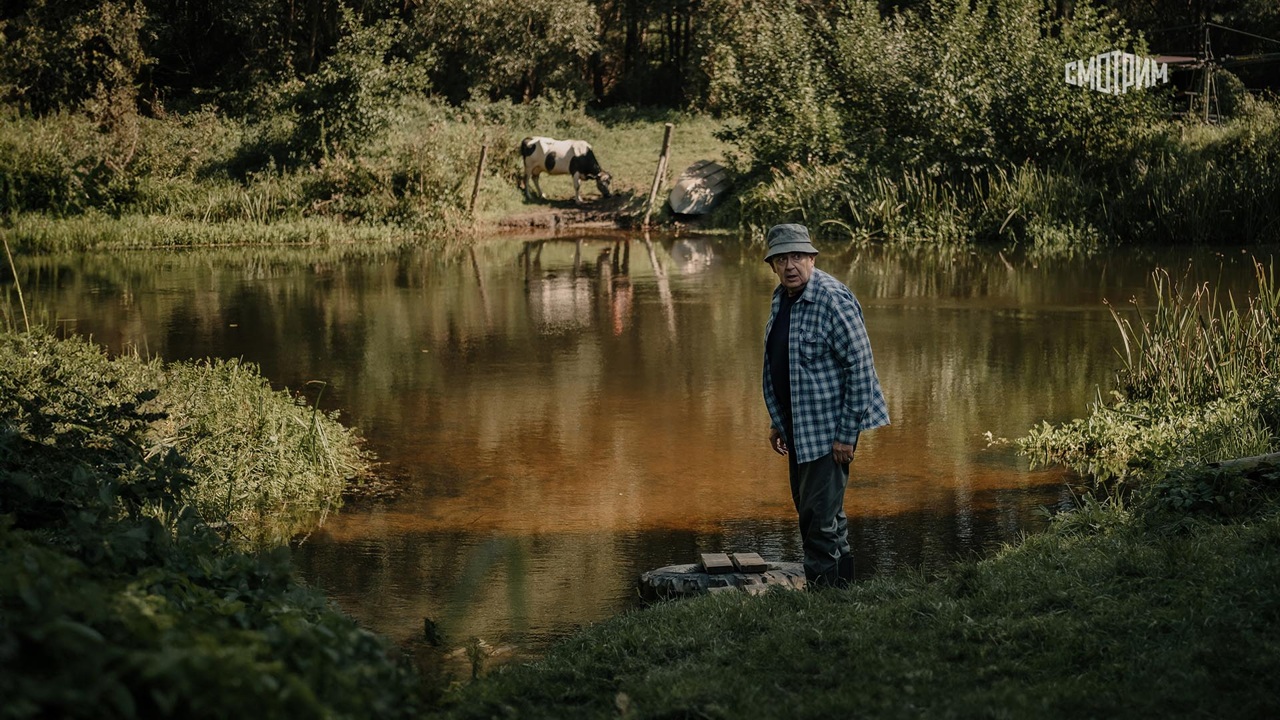 На деревню дедушке