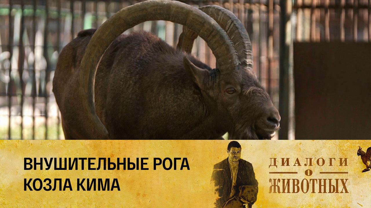 Алматинский зоопарк