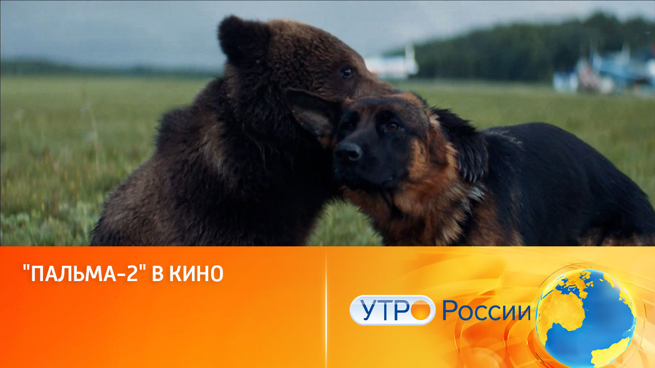 Семейный блокбастер "Пальма-2" – уже в кинотеатрах (сюжет программы "Утро России")