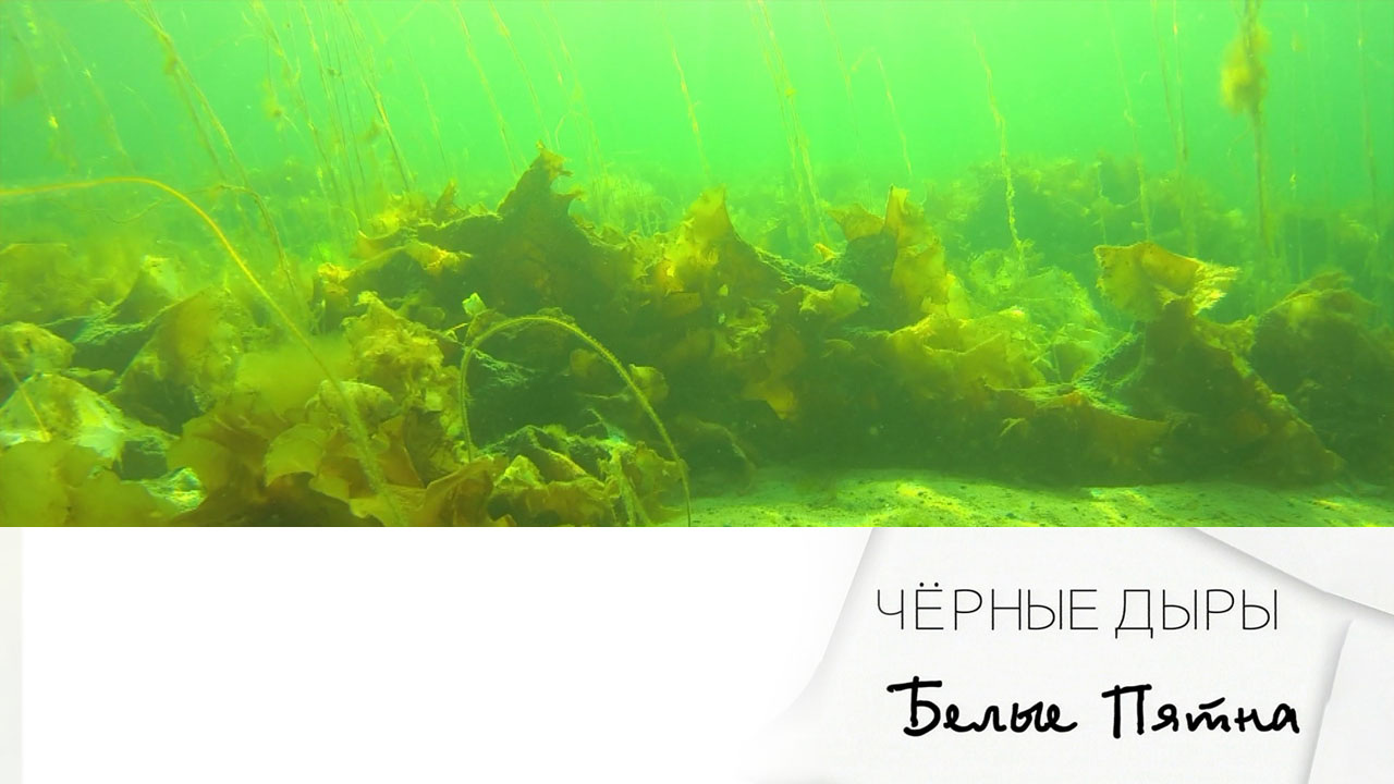 Эфир 22.03.2025