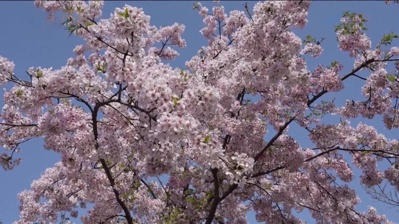 Дайджест новостей культуры