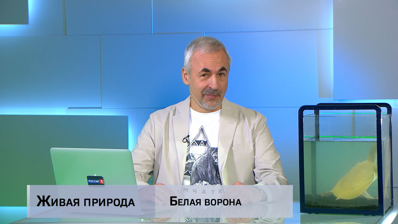 Живая природа. "Белая ворона". Эфир от 22.03.2025