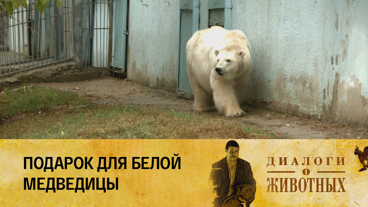 Алматинский зоопарк