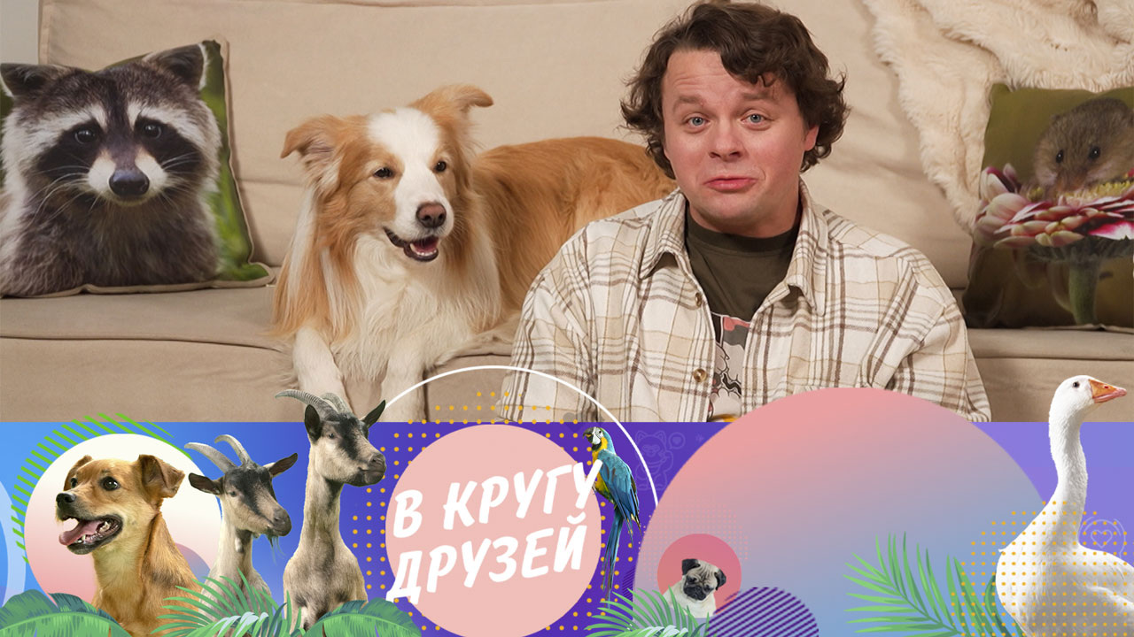Эфир от 06.04.2025