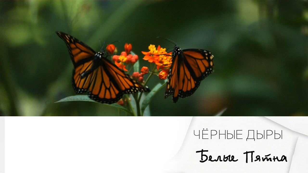 Эфир 12.04.2025