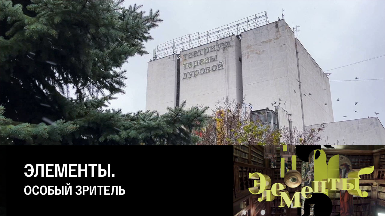 Особый зритель