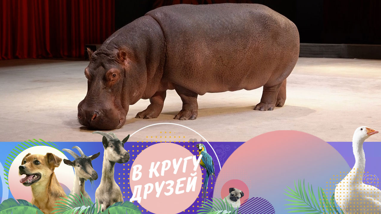 Эфир от 13.04.2025