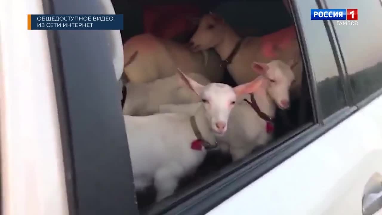 Удачные истории