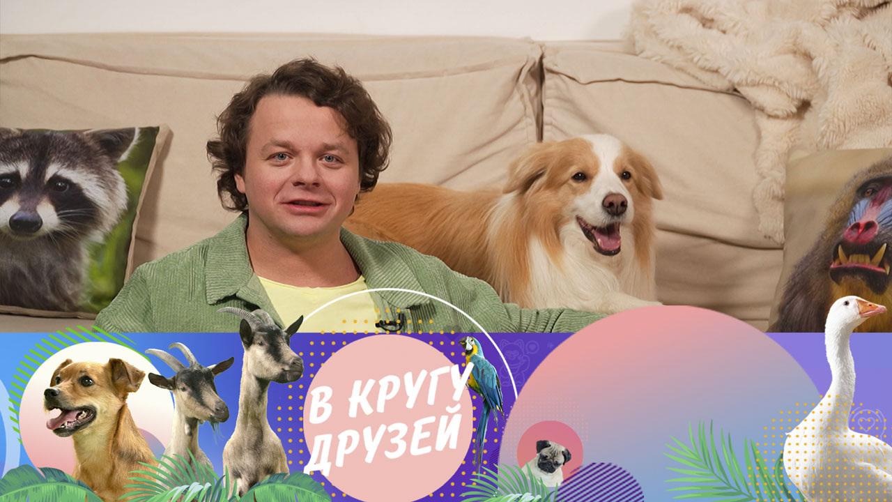 Эфир от 20.04.2025