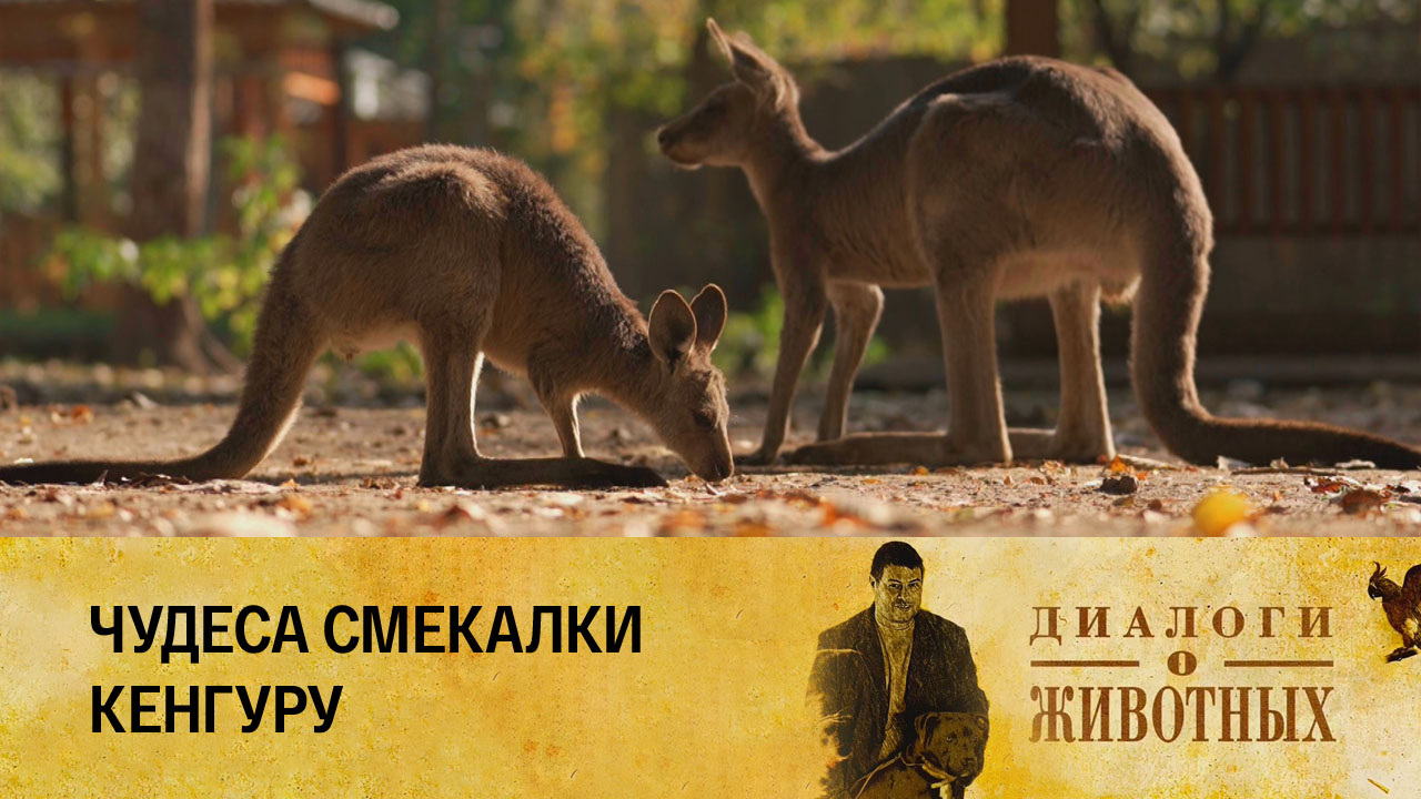 Алматинский зоопарк
