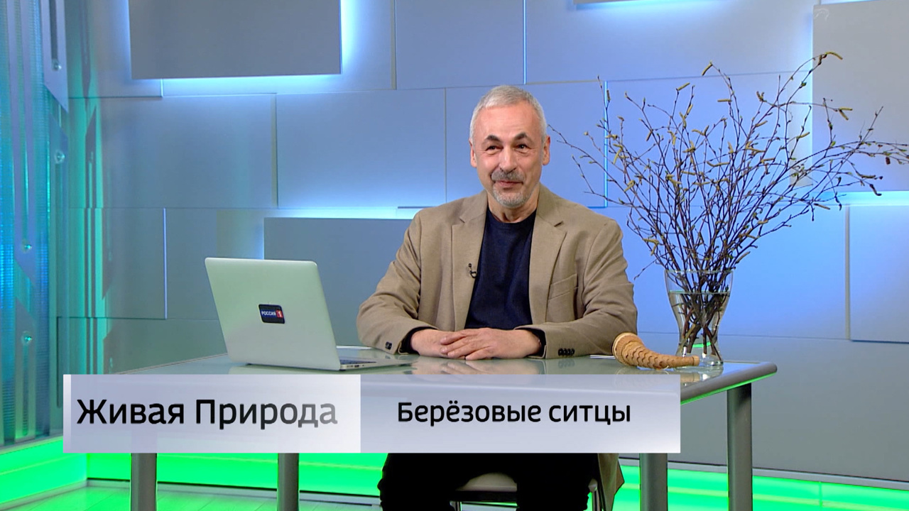 Живая природа. "Березовые ситцы". Эфир от 03.05.2025