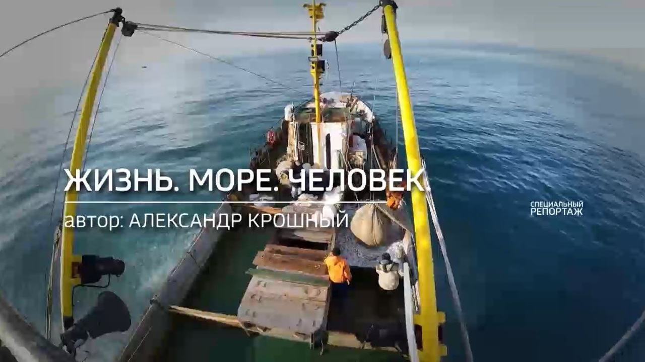Жизнь. Море. Человек.
