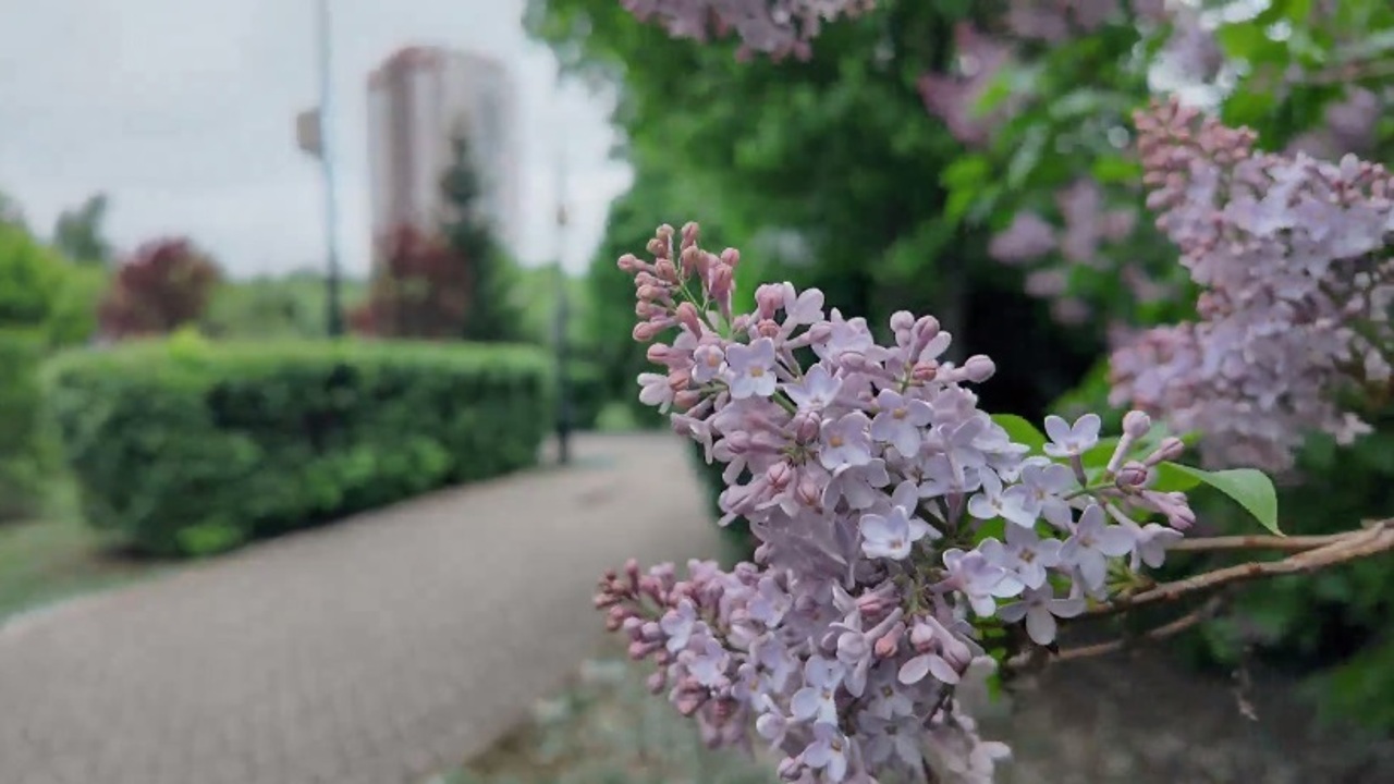 Эфир от 24.05.25