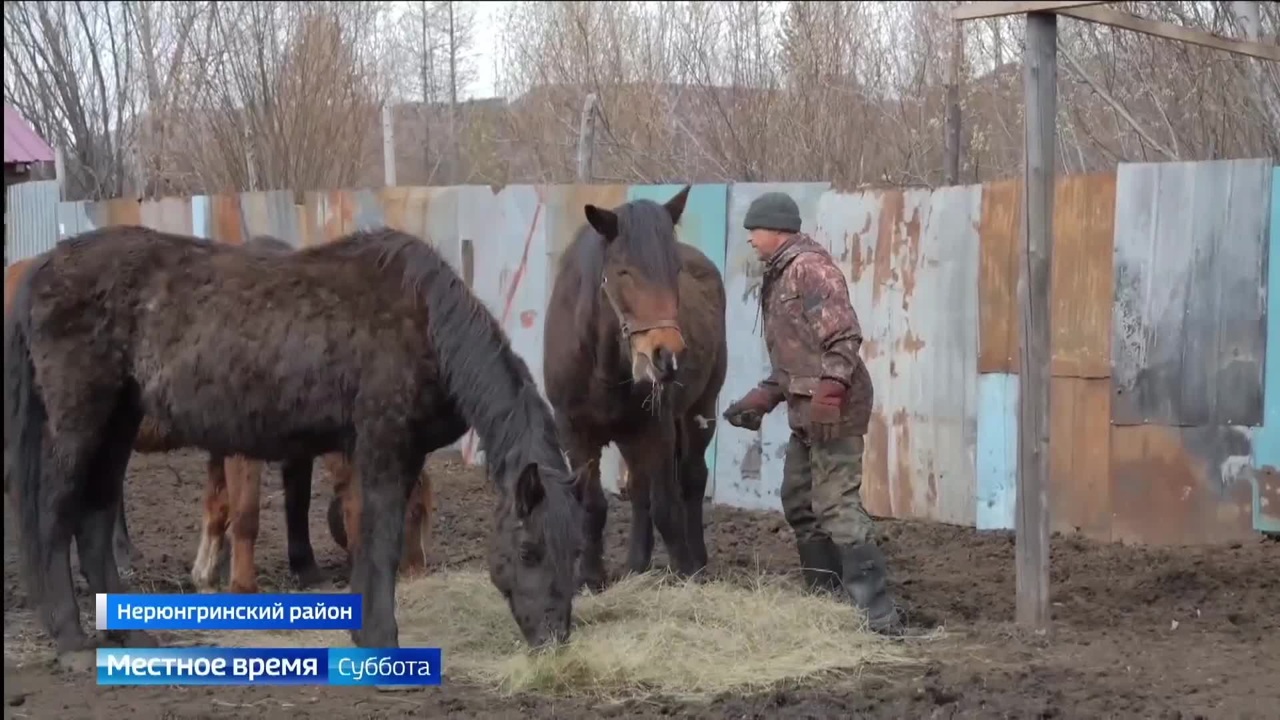 Эфир от 24.05.2025