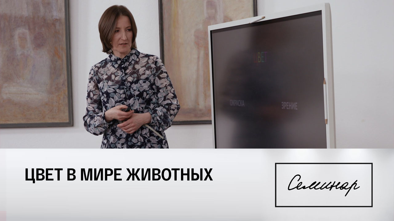 Екатерина Богомолова