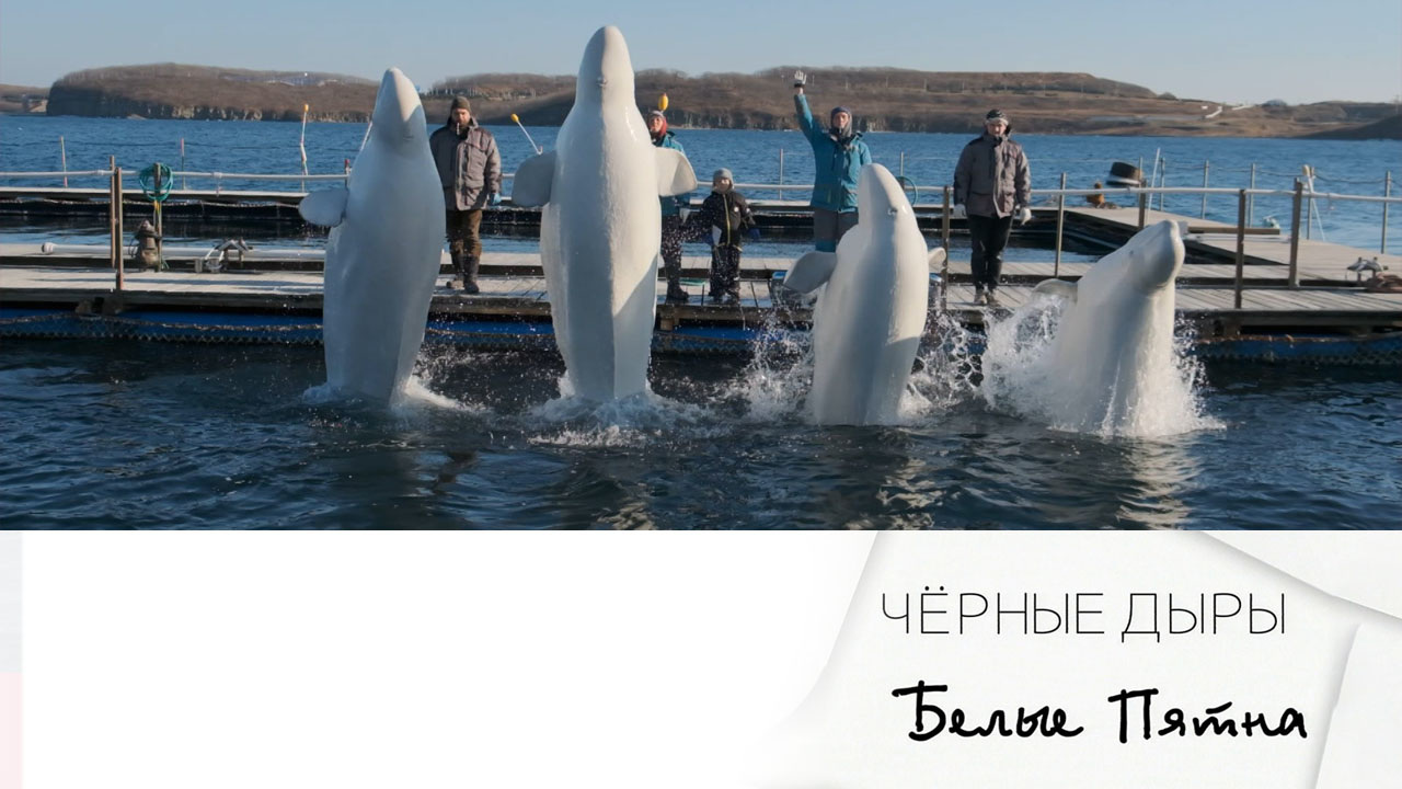 Эфир 07.06.2025