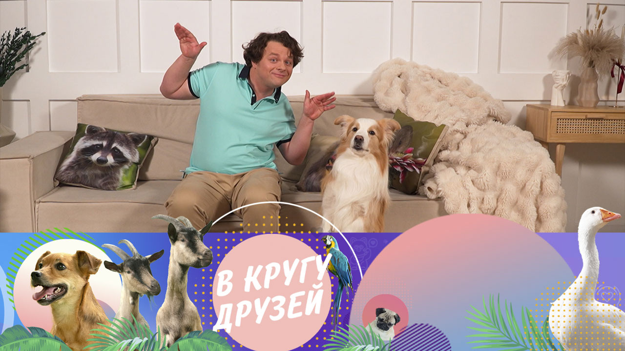 Эфир от 01.06.2025