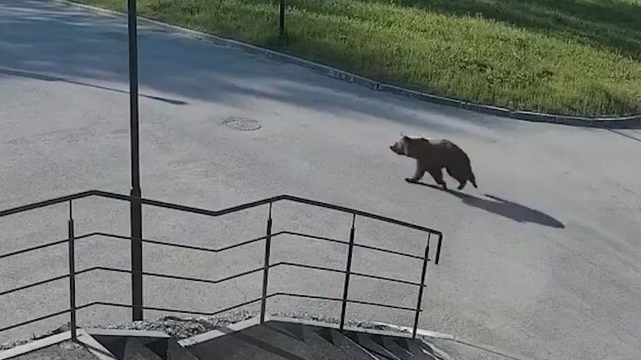 Эфир от 01.06.2025