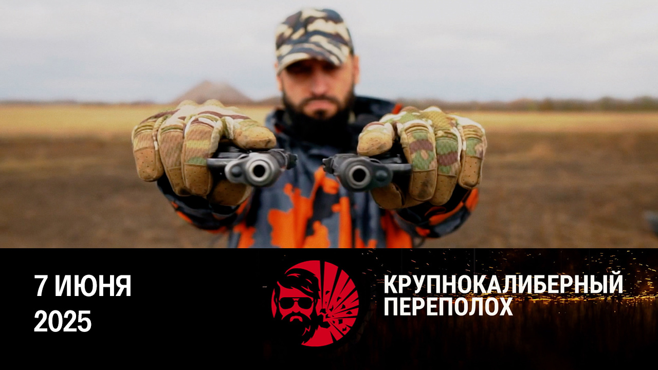 Пистолеты ТТ, ПМ, АПС и ПЛК