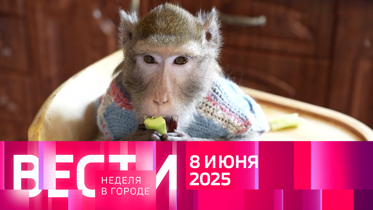 Эфир от 08.06.2025