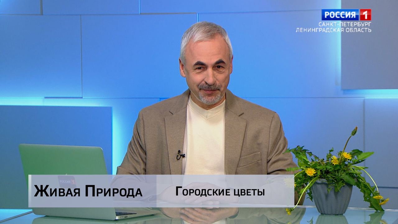 Живая природа. "Городские цветы". Эфир от 14.06.2025