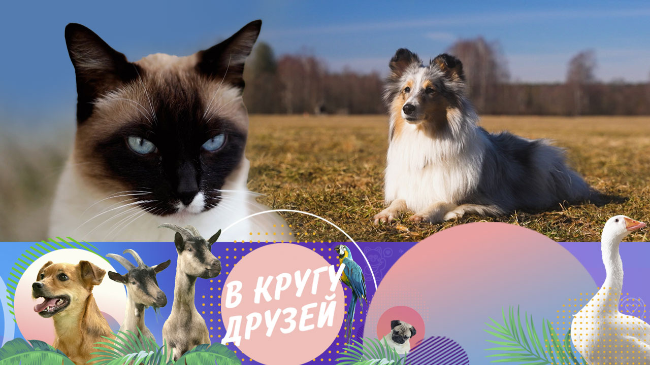 Эфир от 15.06.2025