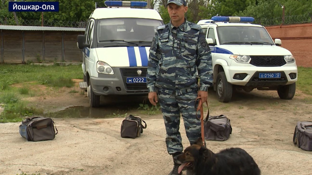 Эфир от 20.06.2025