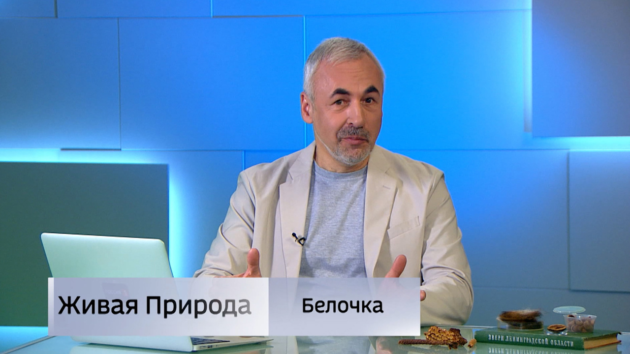 Живая природа. "Белочка". Эфир от 28.06.2025