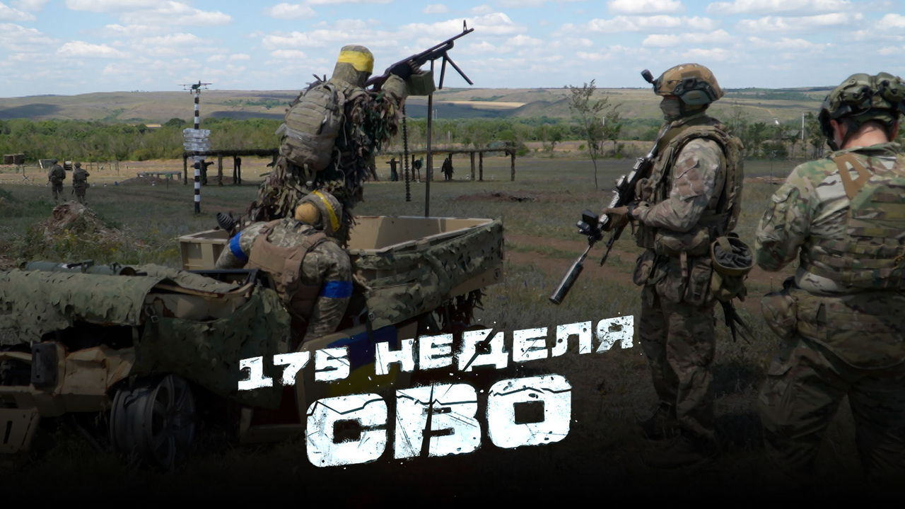 175-я неделя СВО