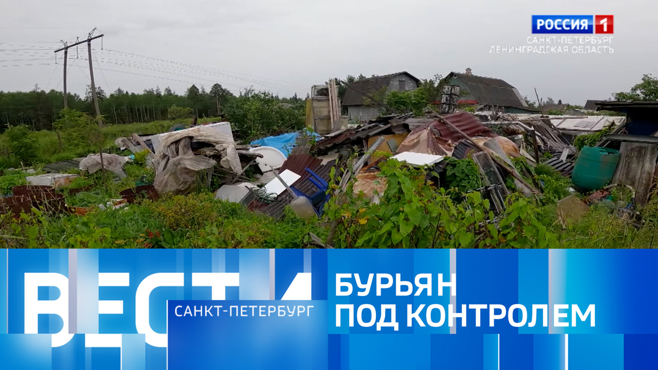 Эфир от 13.07.2025 (14:30)