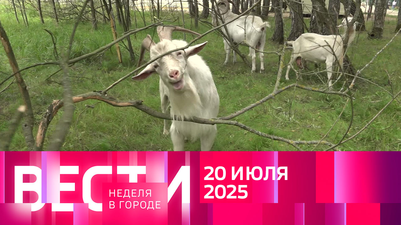 Эфир от 20.07.2025