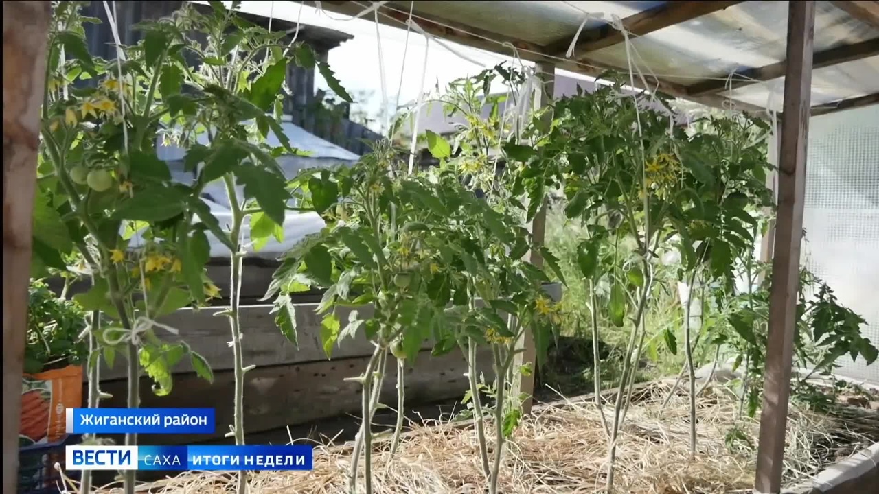 Эфир от 20.07.2025