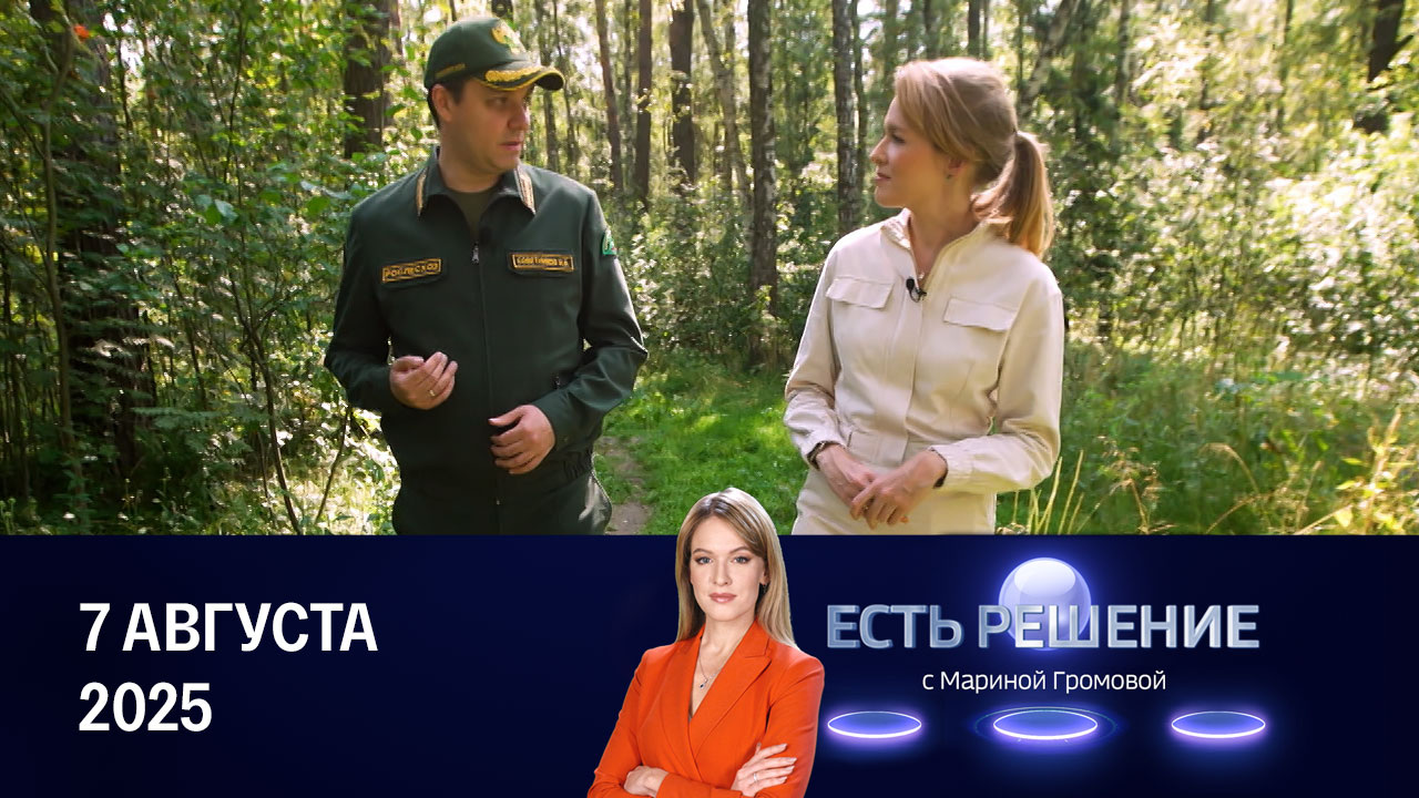 Восстановление лесов