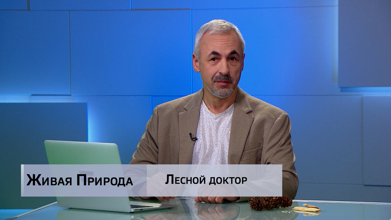 Живая природа. "Лесной доктор". Эфир от 09.08.2025