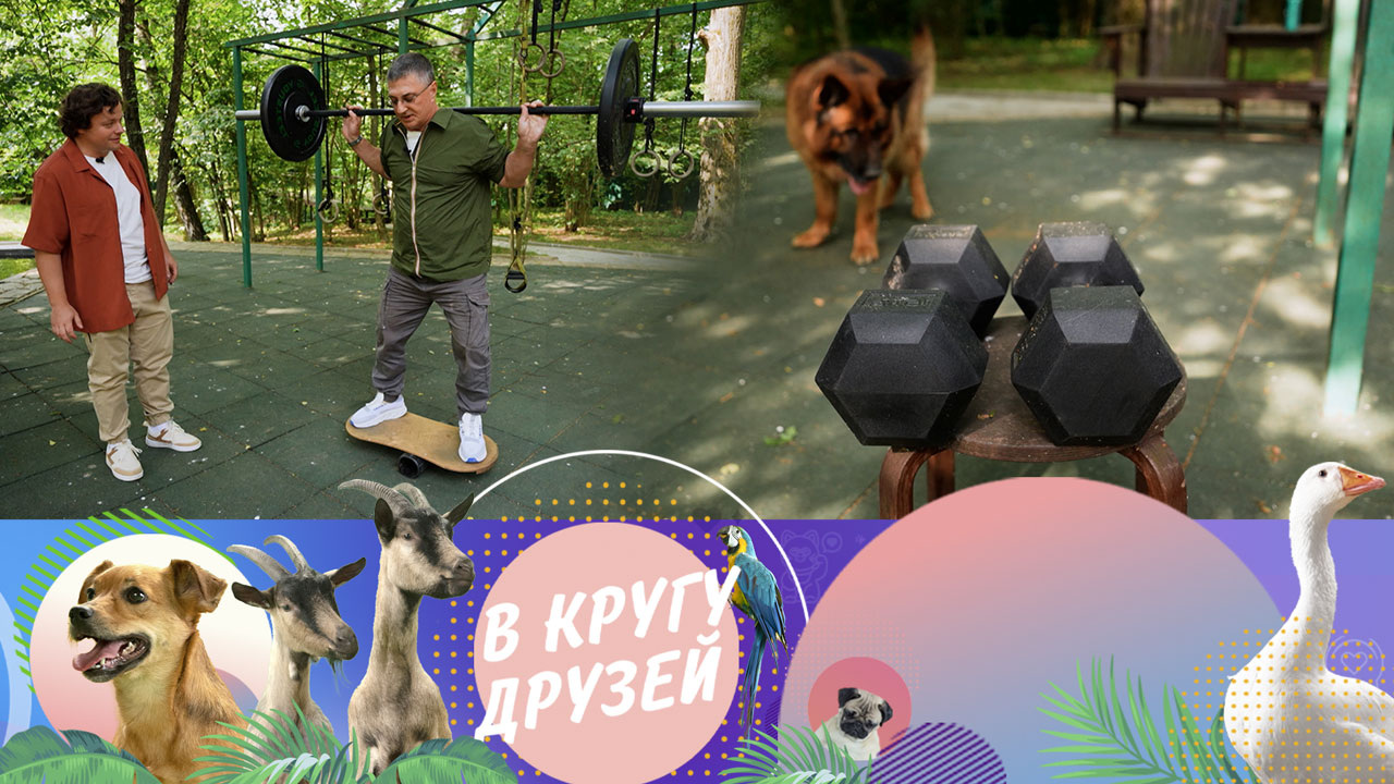Эфир от 10.08.2025