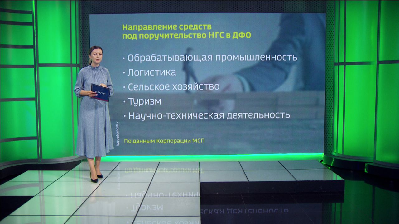 Предприятия ДФО привлекли свыше 30 миллиардов рублей с помощью Национальной гарантийной системы