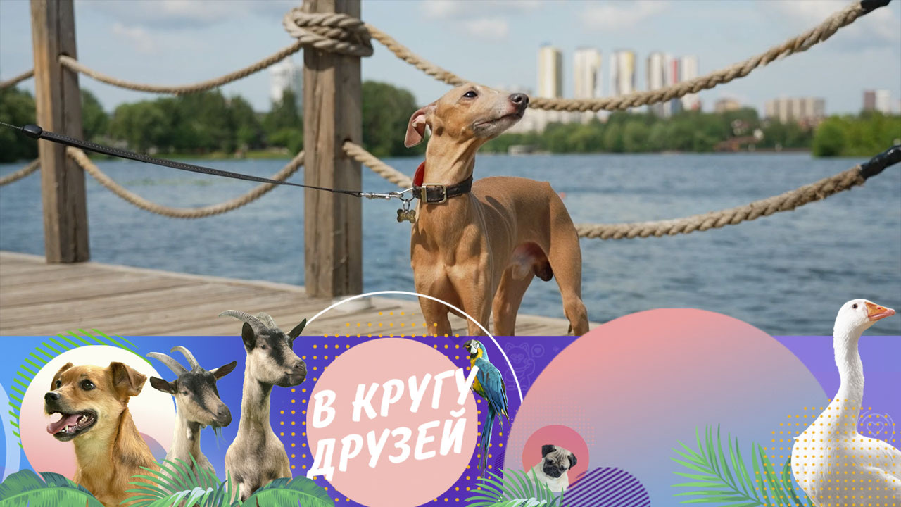 Эфир от 17.08.2025
