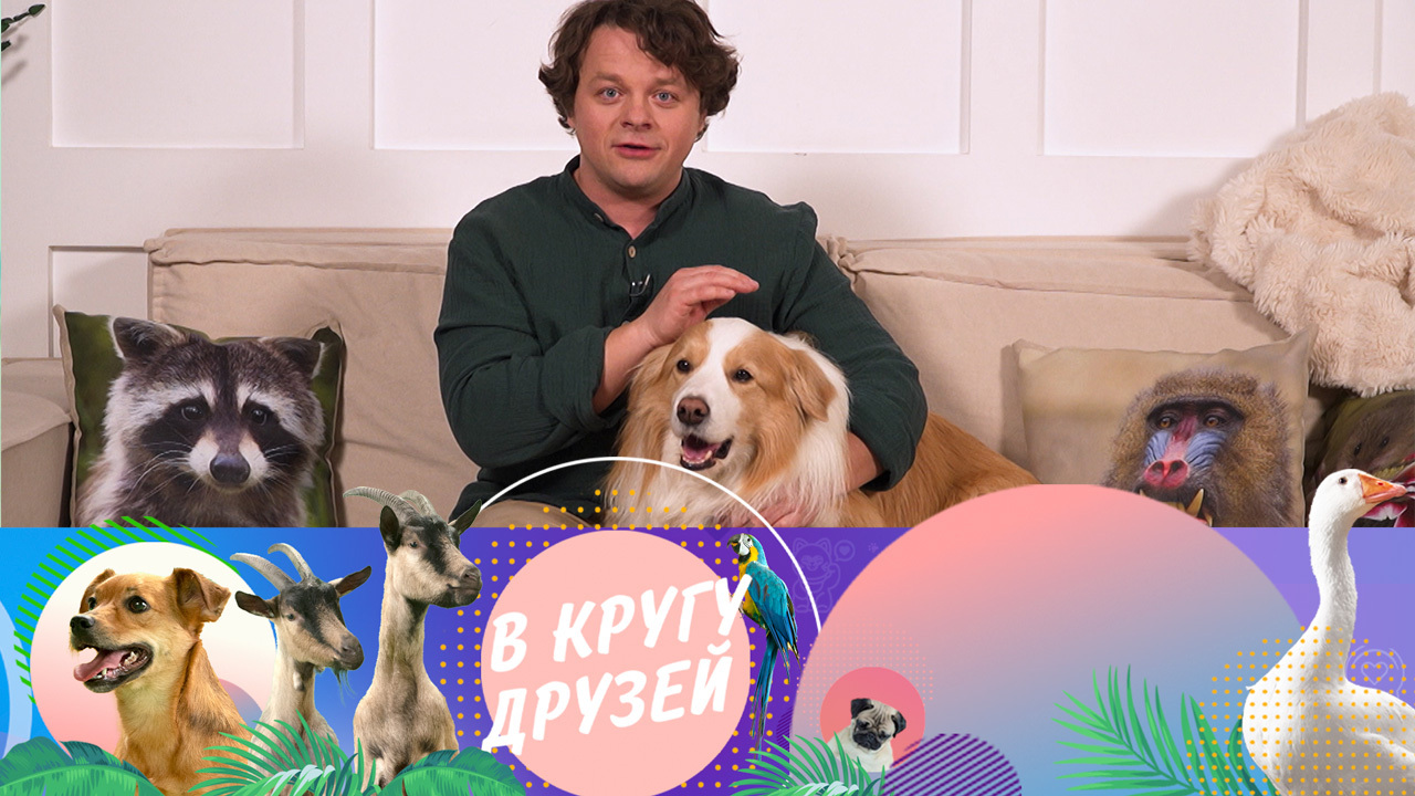 Эфир от 24.08.2025