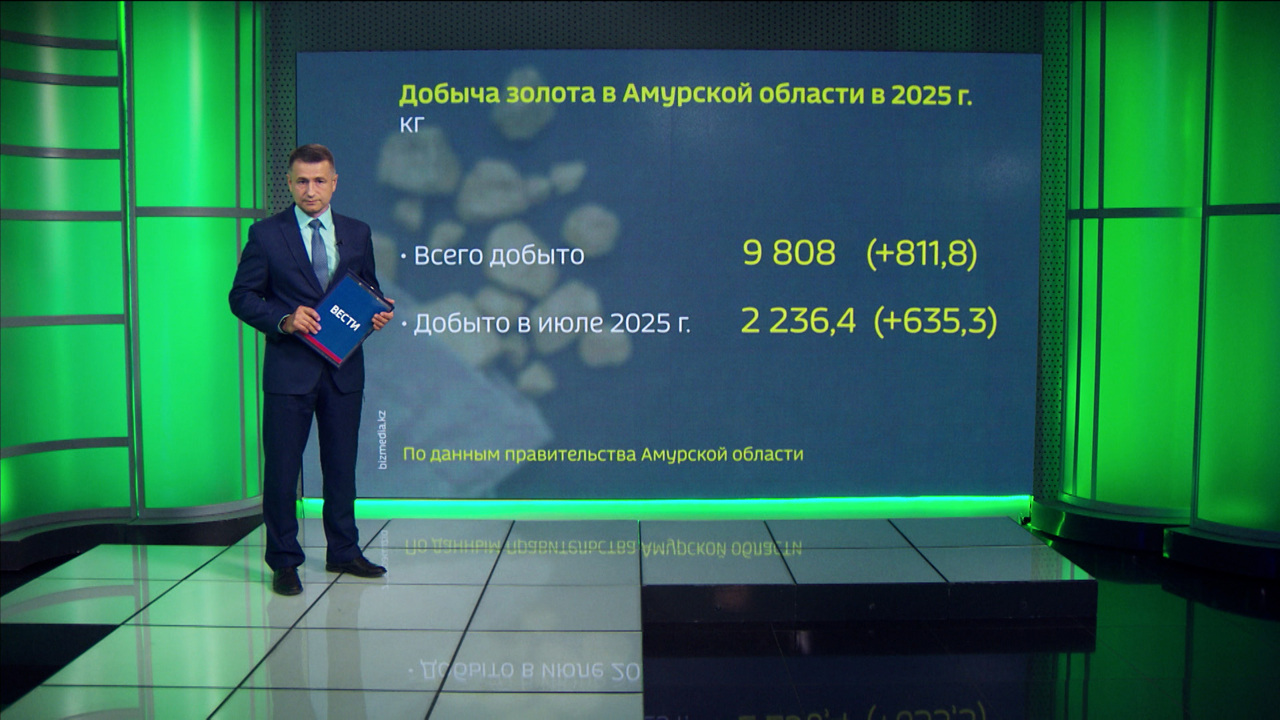 Почти 10 тонн золота добыли амурские предприятия с начала года