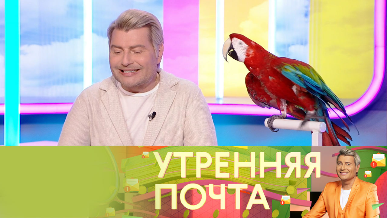 Эфир от 31.08.2025