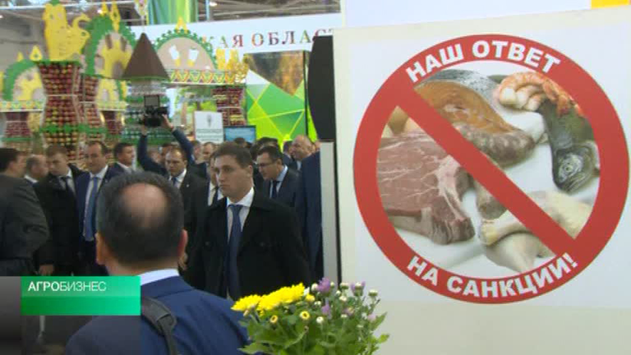Эфир от 12.10.2014