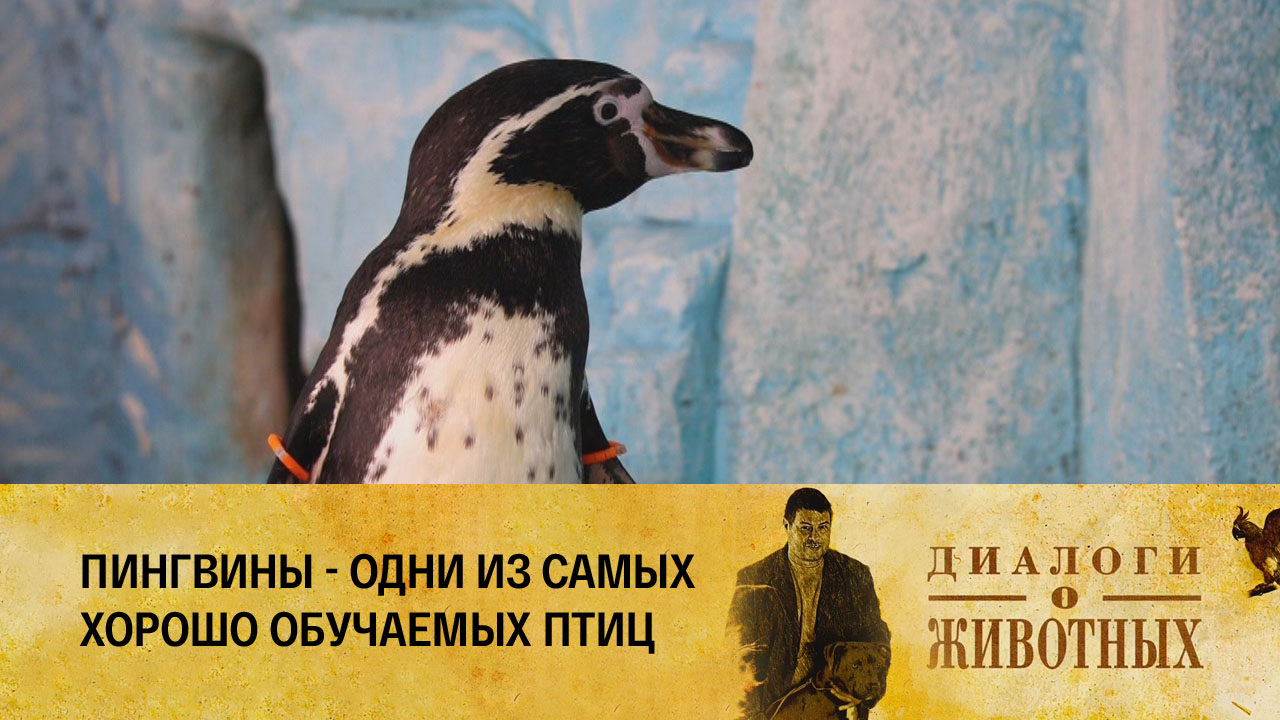 Красноярский парк флоры и фауны "Роев ручей"