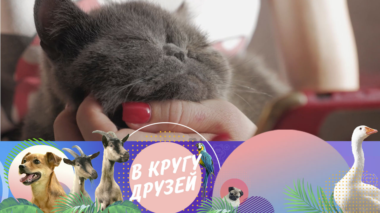 Эфир от 07.09.2025
