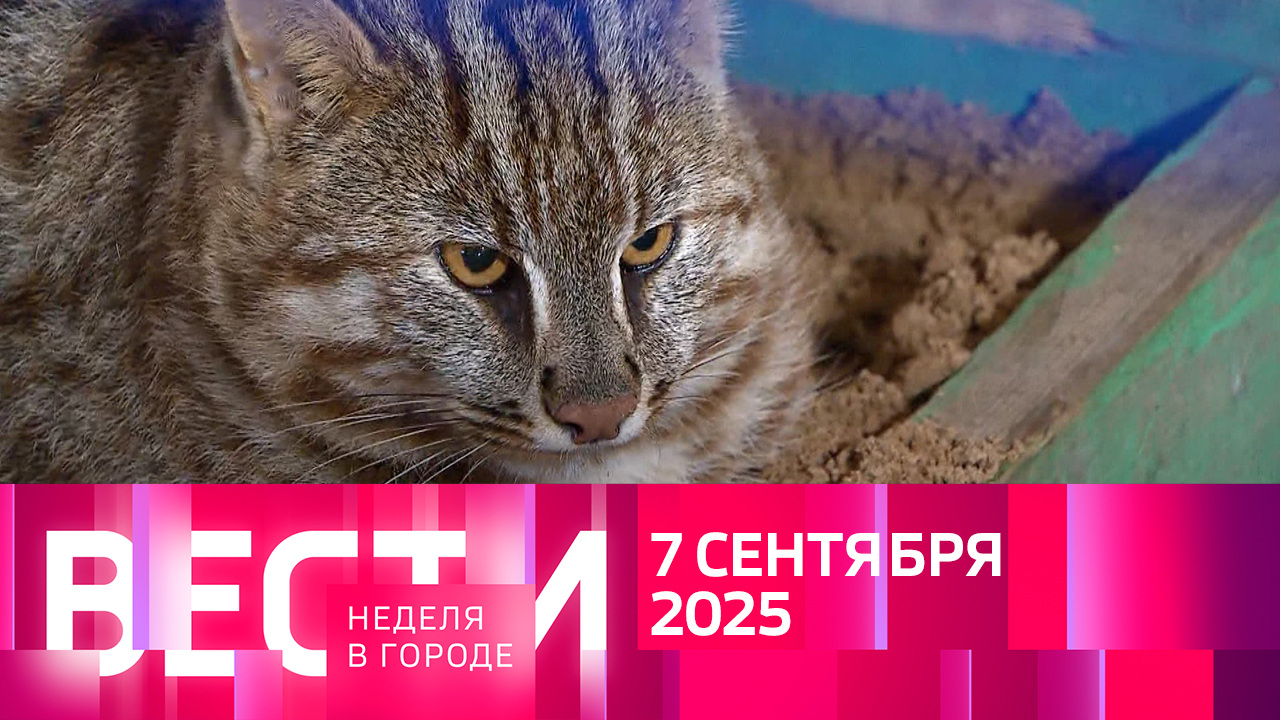 Эфир от 07.09.2025
